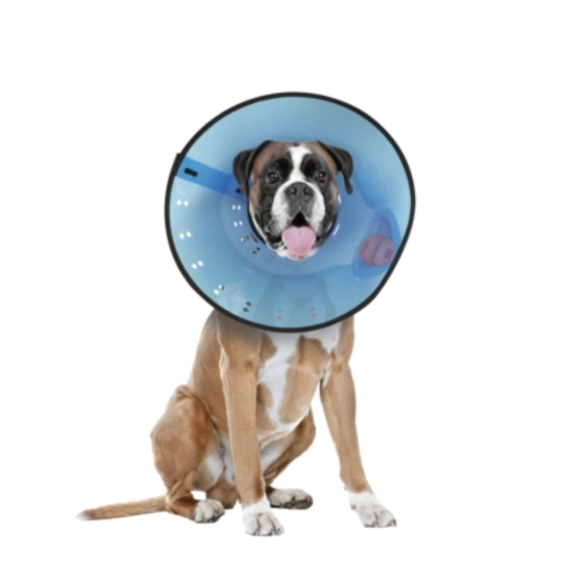 Pet Calm Paws Calming E-Collar For Dogs. New Size Medium - Picture 2 of 7